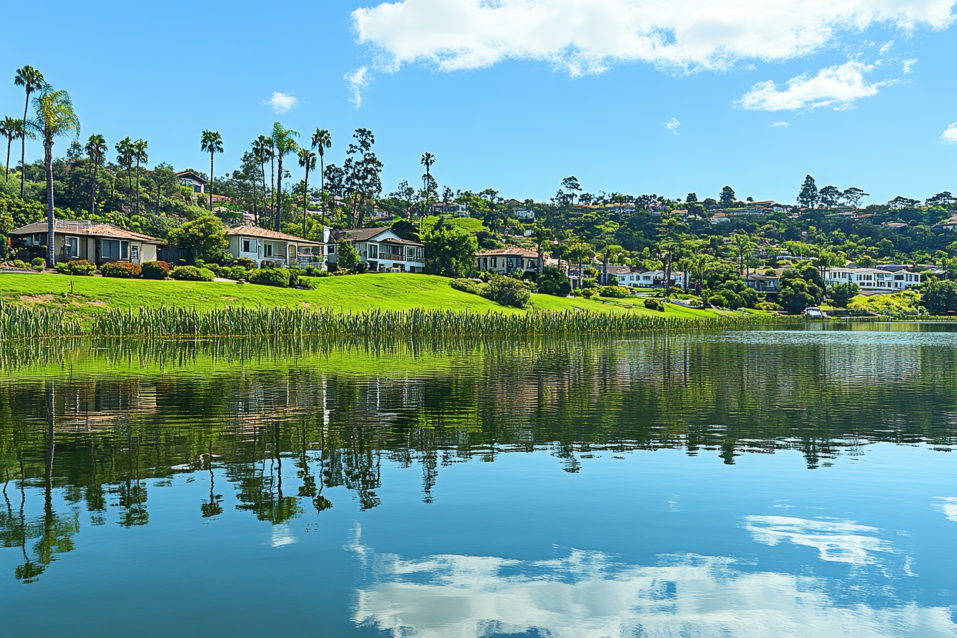 Scripps Ranch, California
